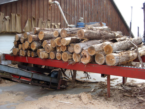 Unloading Cedar onto the Cutting Rail